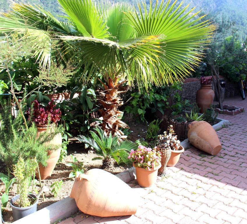 Adrasan Shambala Apartment Exterior photo